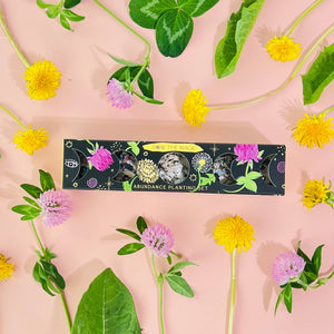Abundance Moon Phase Planting Set